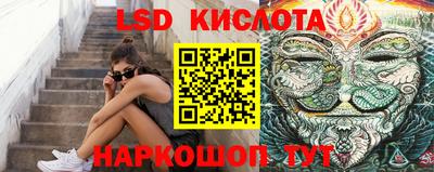 меф Гатчина