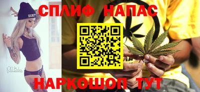 меф Гатчина