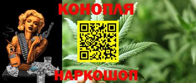 не бодяженный Гай