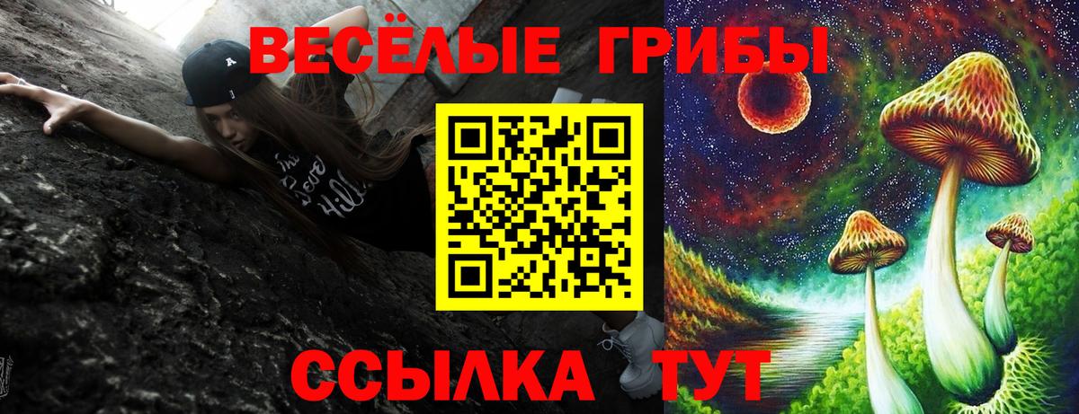 Псилоцибиновые грибы GOLDEN TEACHER Саяногорск