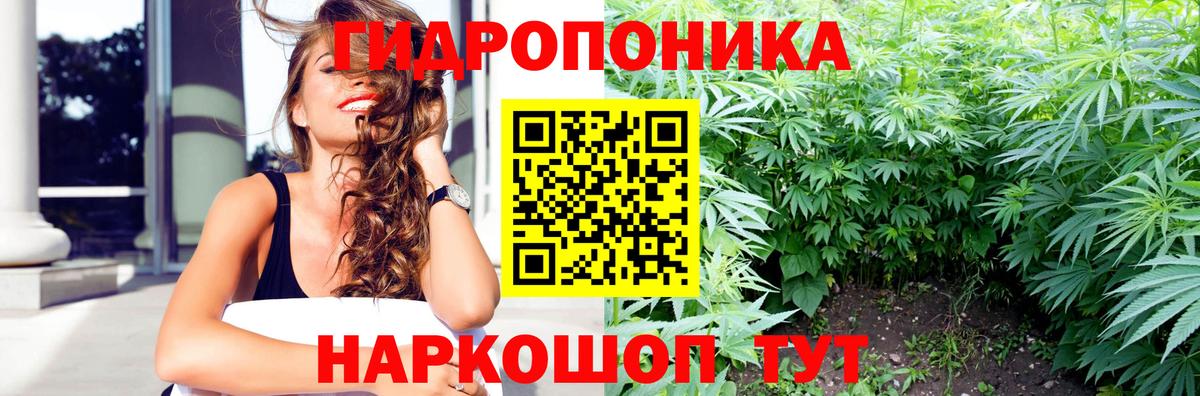 Бошки Шишки Amnesia  Шишки марихуана планчик  Каннабис AK-47  Саяногорск  Вход с VPN  Шишки марихуана марихуана 